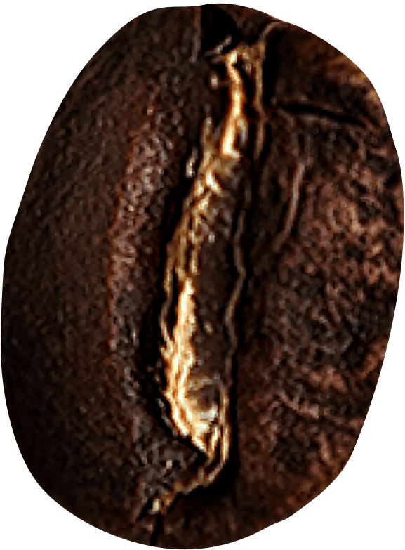 Bean